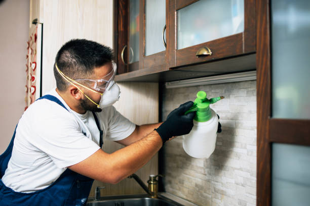Best Best Pest Control Companies  in Opelousas, LA