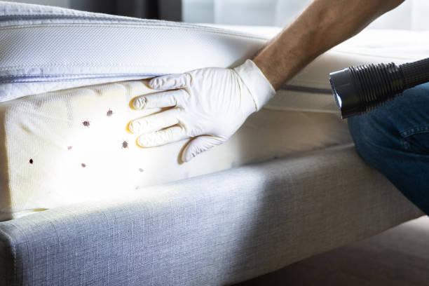 Best Best Pest Control Companies  in Opelousas, LA