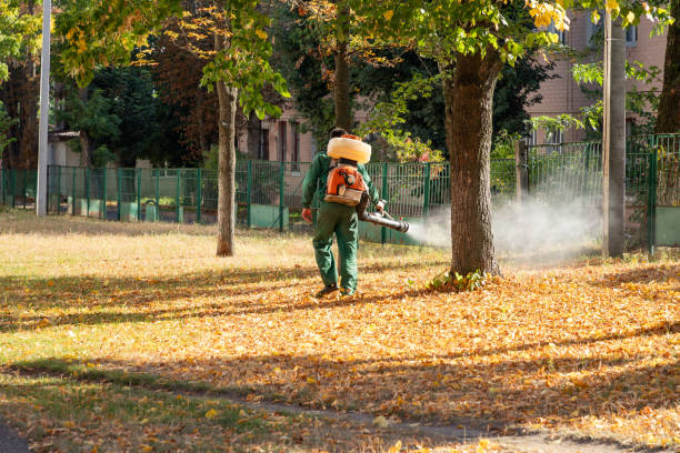 Best Exterminator Services  in Opelousas, LA