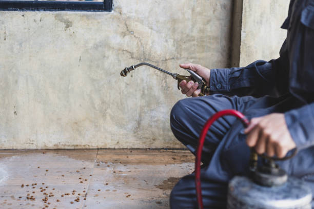 Best Mosquito Control Services  in Opelousas, LA