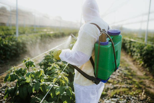 Best Pest Control for Businesses  in Opelousas, LA